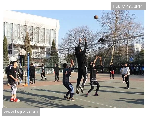 排球新手必看：轻松掌握节奏与技巧的入门指南